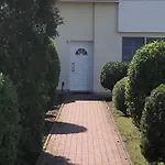 Brandgans