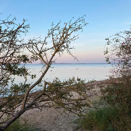 Apartmán Brandgans Insel Poel