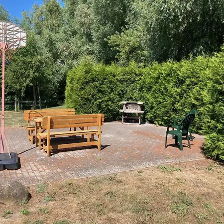 Brandgans * Insel Poel