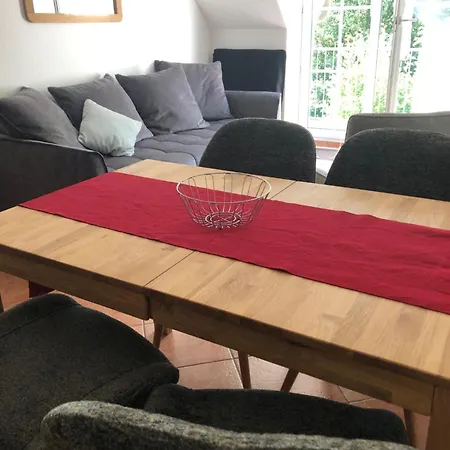 Brandgans * Insel Poel